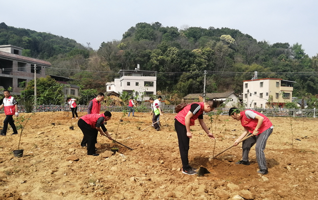 20210312龙坑村植树_副本.jpg